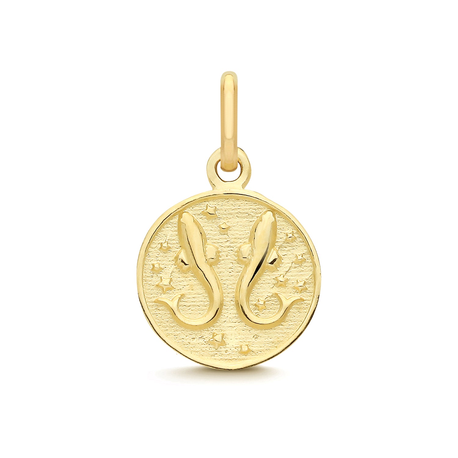 Pisces Zodiac Coin Charm Pendant - 9k Yellow Gold