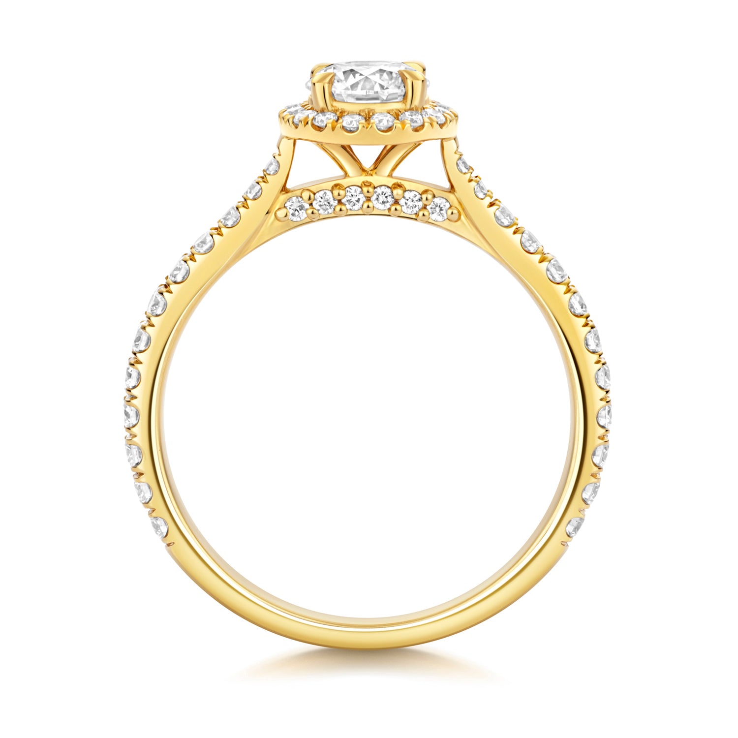 Maria Halo Pavé 0.50ct Round Lab Grown Diamond Engagement Ring - 18k Yellow Gold