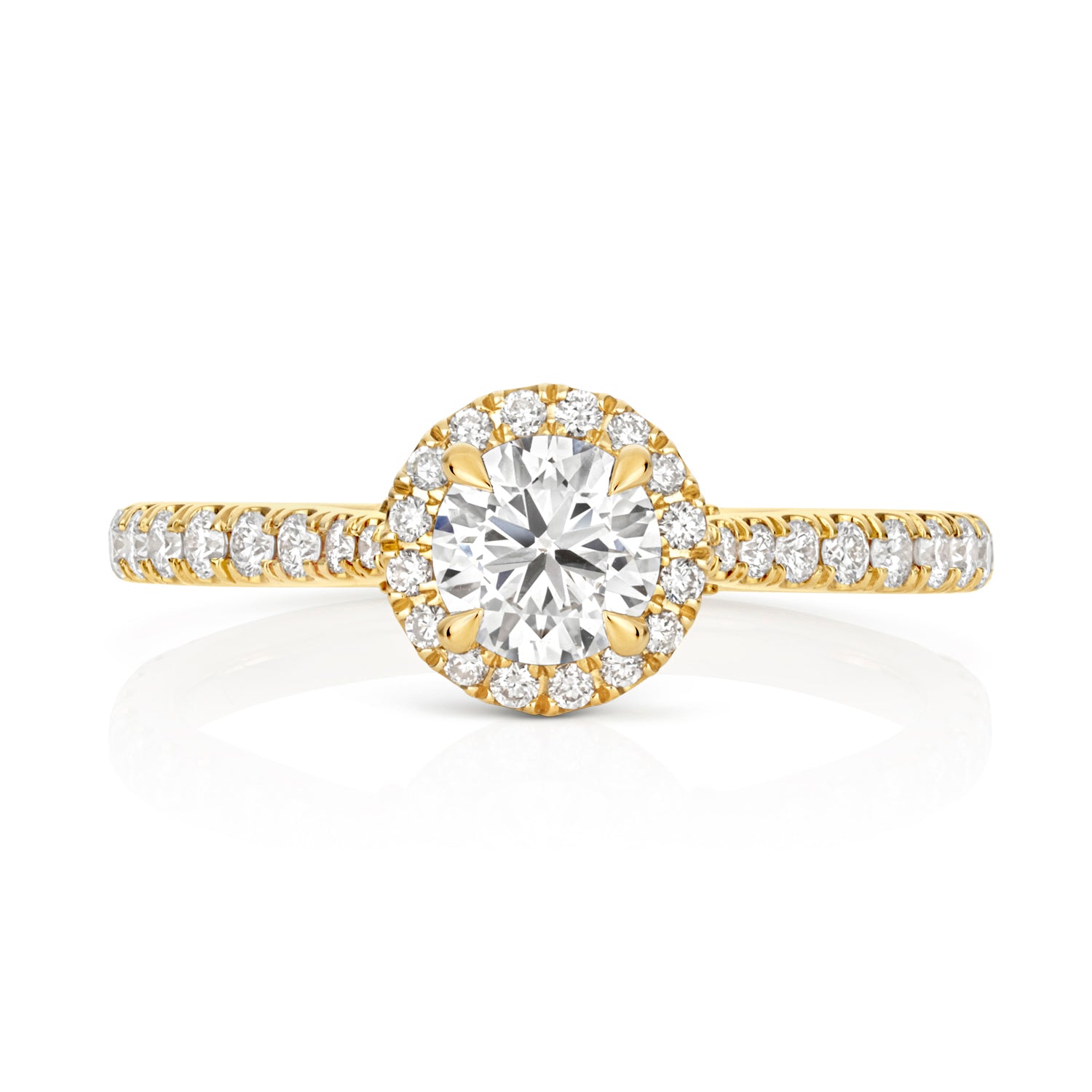 Maria Halo Pavé 0.50ct Round Lab Grown Diamond Engagement Ring - 18k Yellow Gold